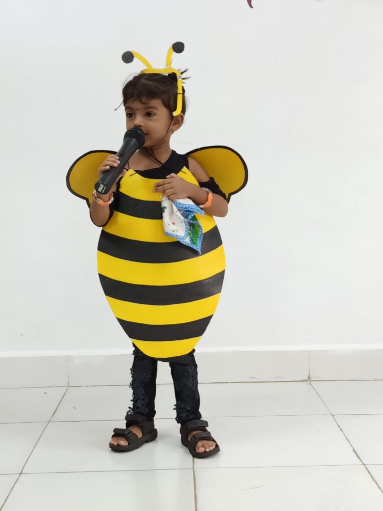 insects fancy dress